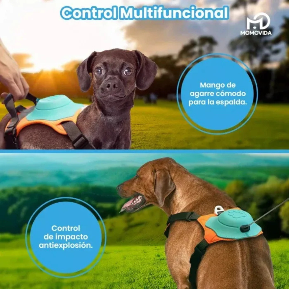Correa Retráctil + Arnés De Perros