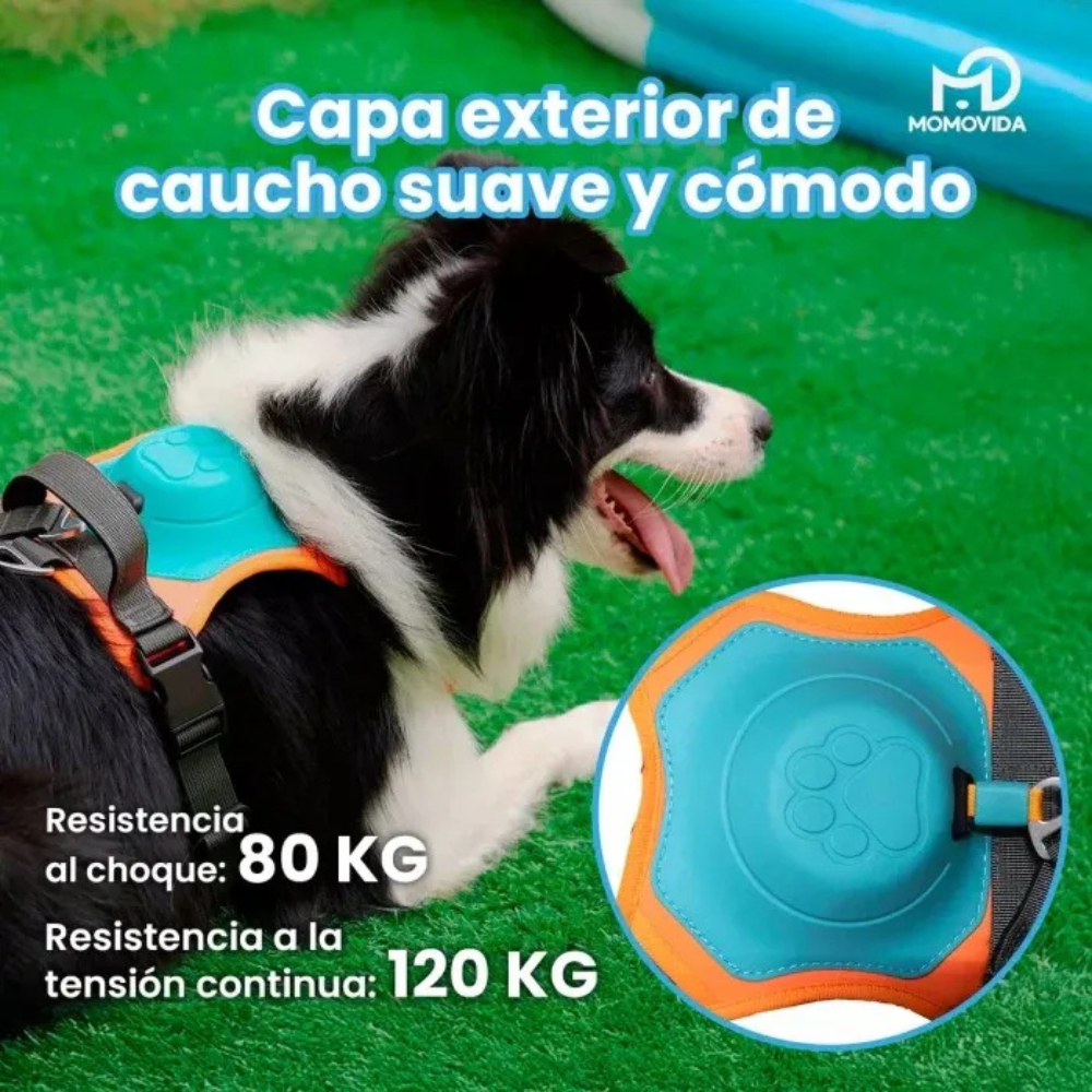 Correa Retráctil + Arnés De Perros