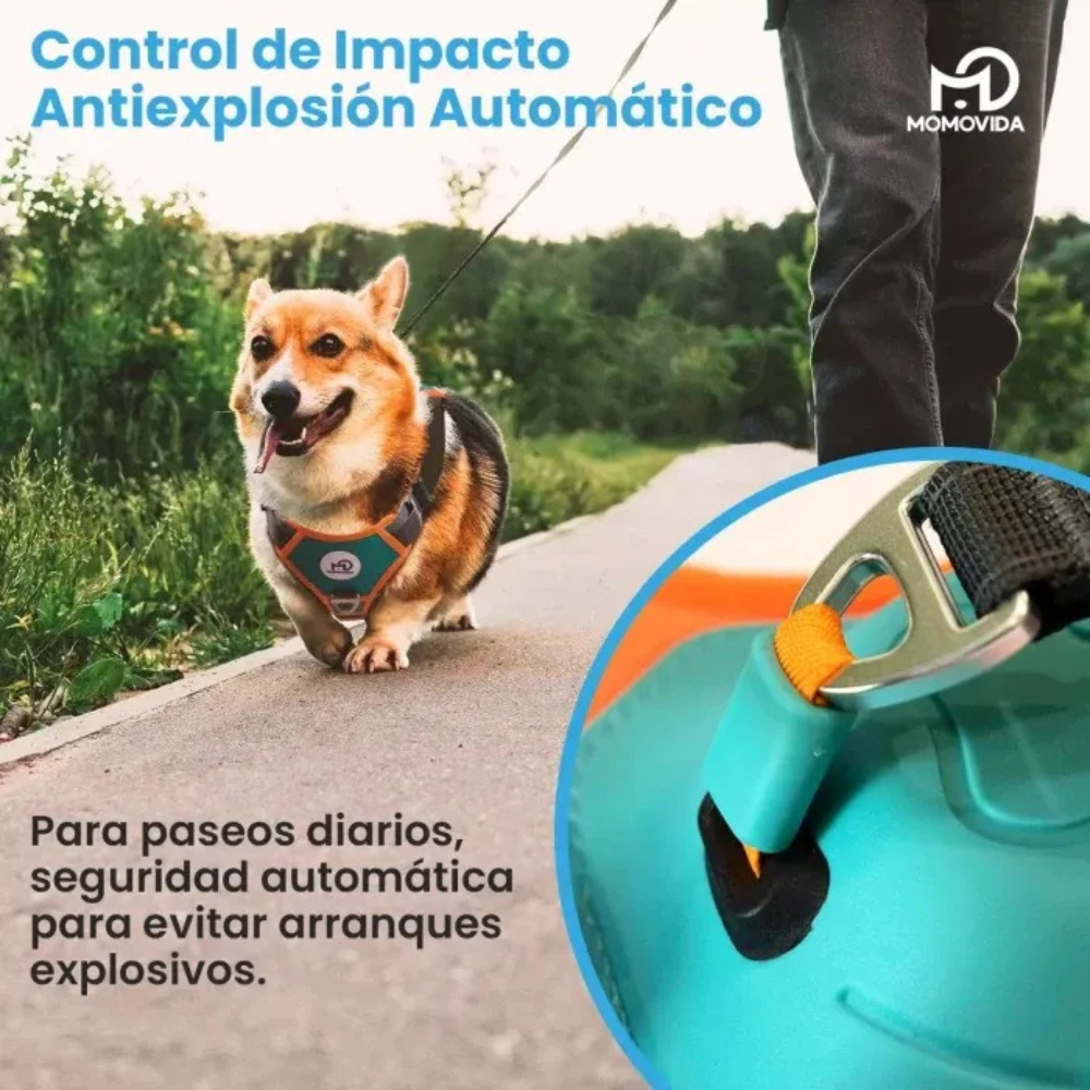Correa Retráctil + Arnés De Perros
