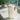 Termo Botella Café Frío O Caliente 500ml Trébol Blanco
